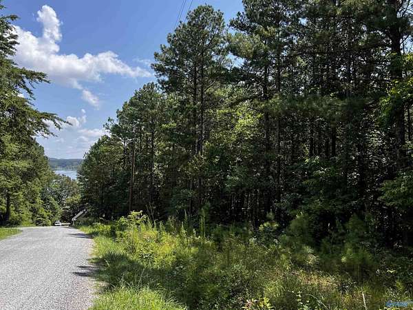 1 Acre of Residential Land for Sale in Leesburg, Alabama