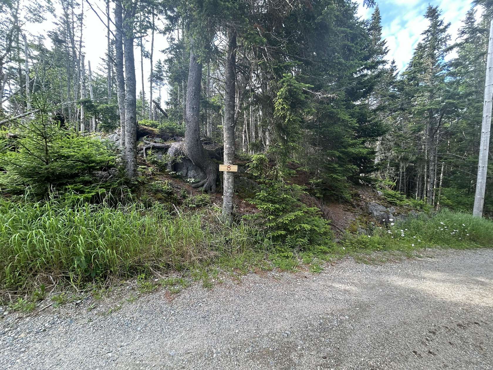 12.5 Acres of Land for Sale in Addison, Maine