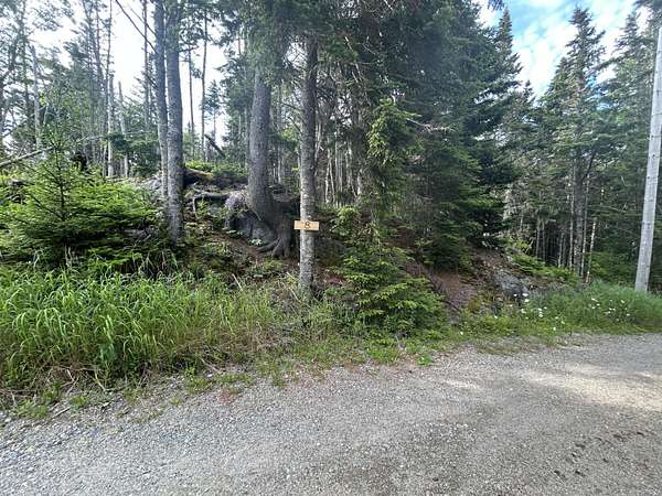 12.5 Acres of Land for Sale in Addison, Maine