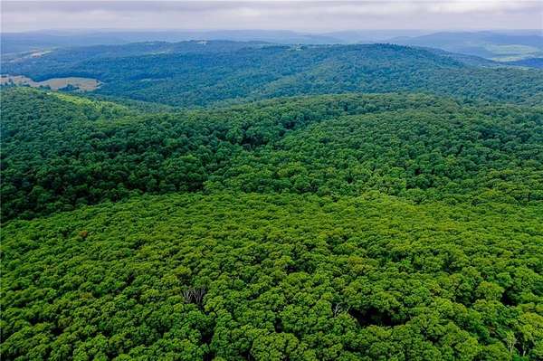 30 Acres of Recreational Land for Sale in Pettigrew, Arkansas
