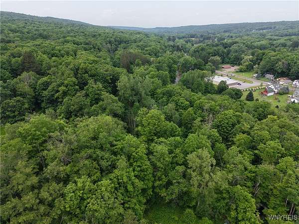 4.1 Acres of Residential Land for Sale in Colden, New York