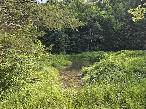 44.4 Acres of Agricultural Land for Sale in Sneedville, Tennessee