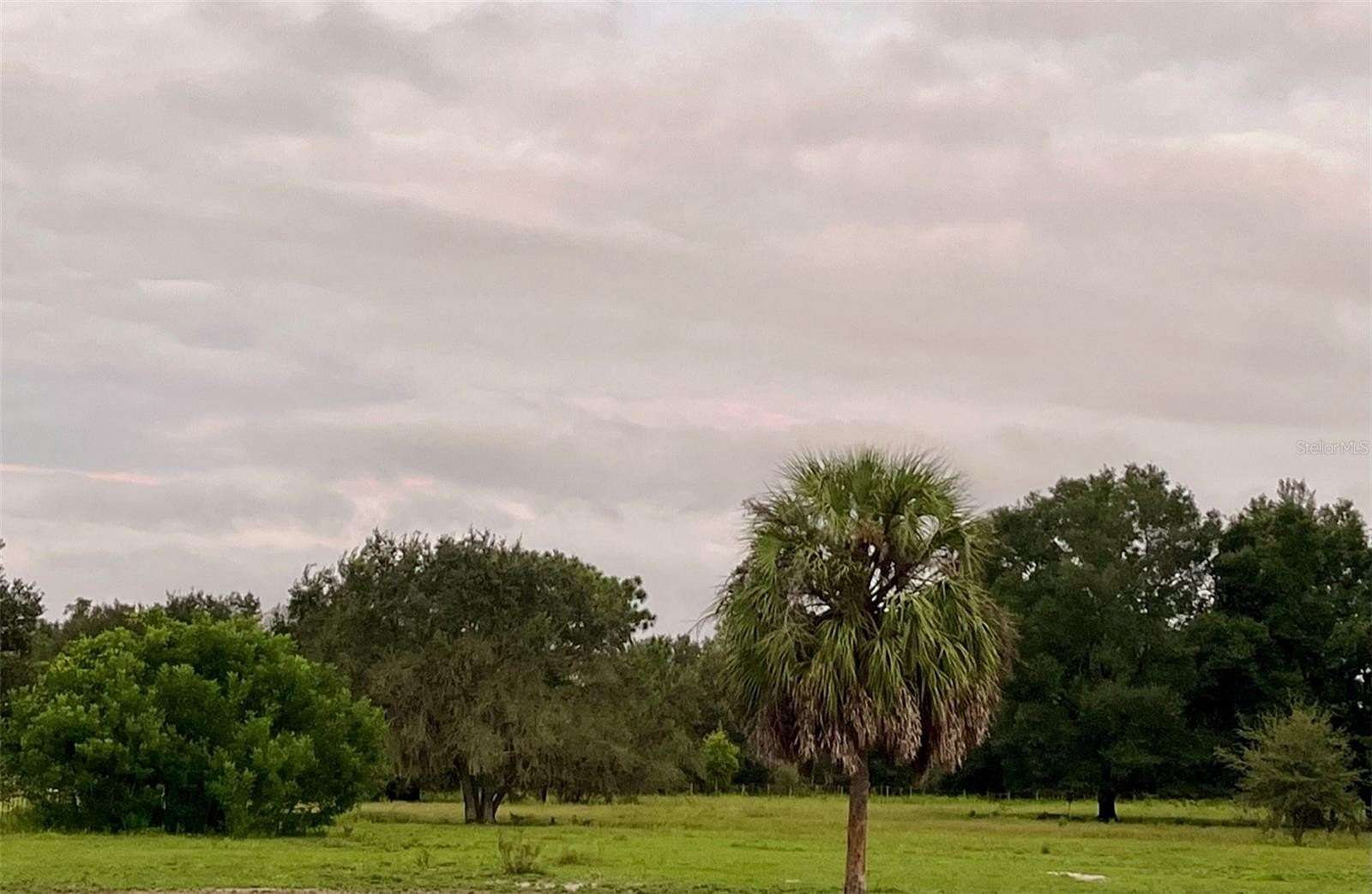 10 Acres of Agricultural Land for Sale in Archer, Florida