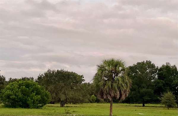 10 Acres of Agricultural Land for Sale in Archer, Florida