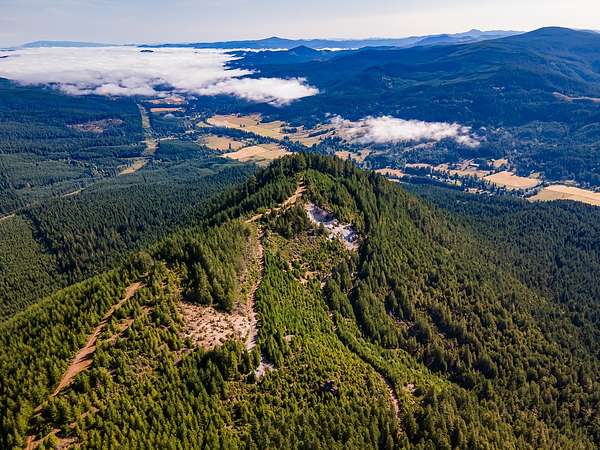 45.5 Acres of Recreational Land for Sale in Cottage Grove, Oregon