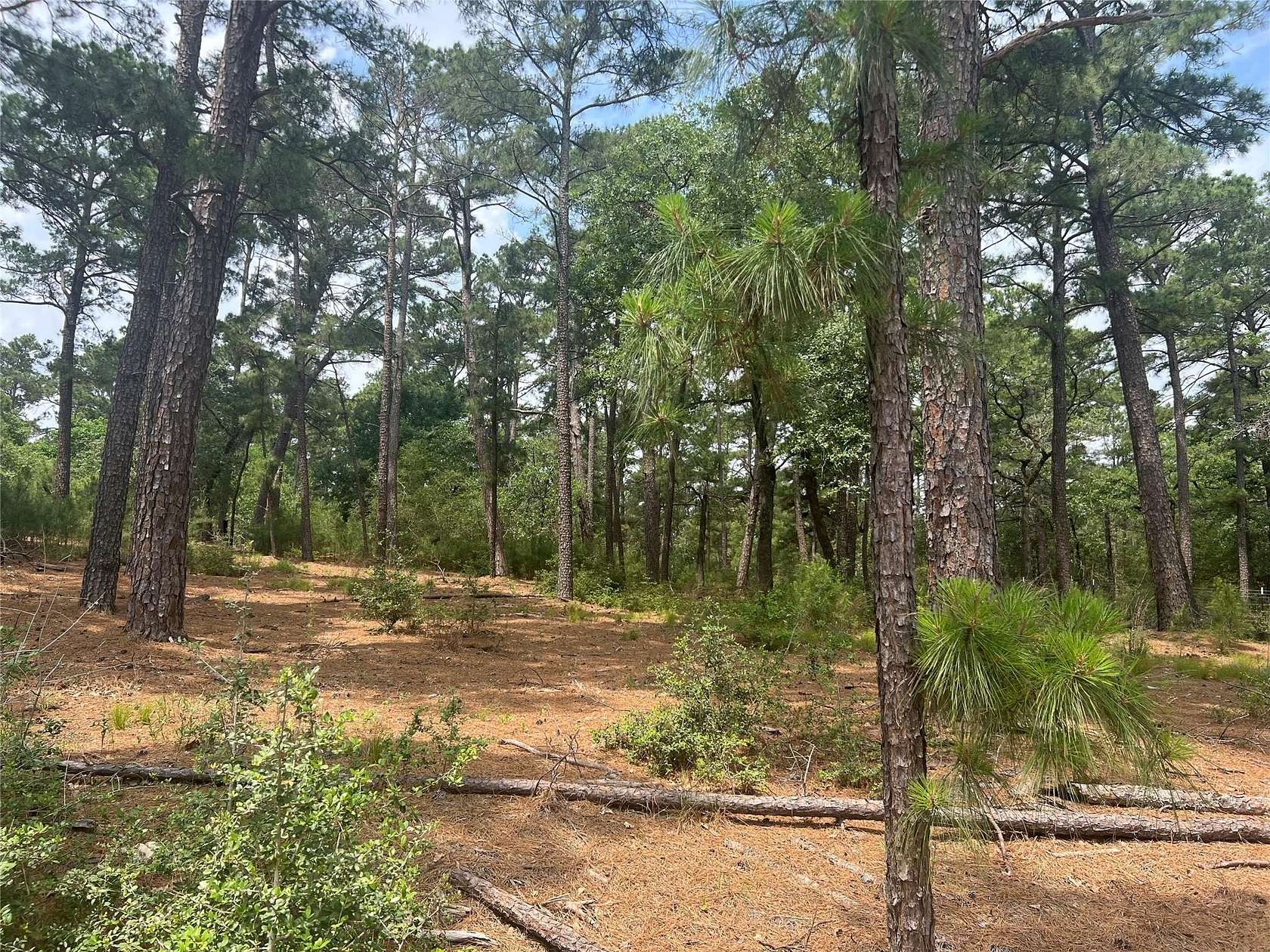 0.2 Acres of Land for Sale in Bastrop, Texas