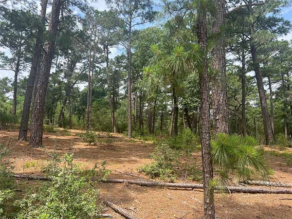 0.2 Acres of Land for Sale in Bastrop, Texas