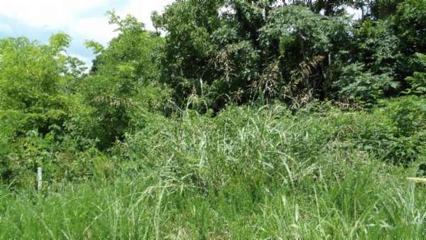 2.2 Acres of Residential Land for Sale in Hilham, Tennessee