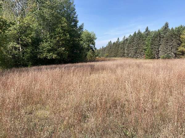 26 Acres of Recreational Land for Sale in Wolverine, Michigan
