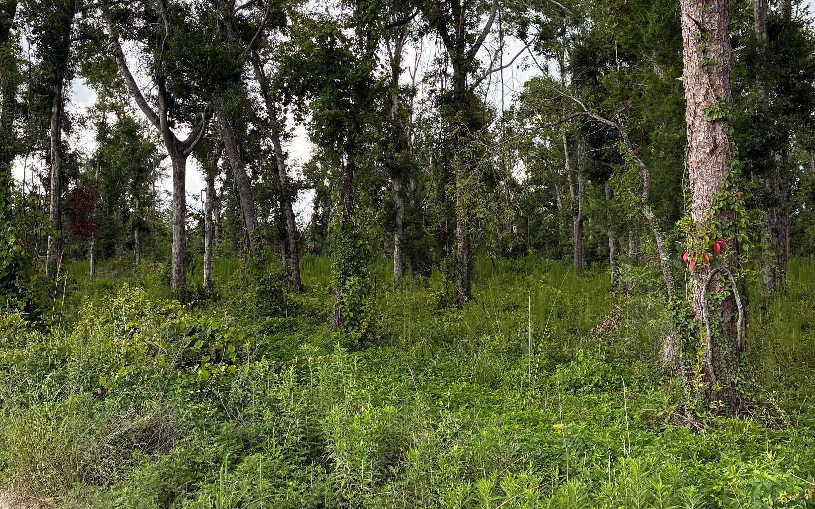 4.56 Acres of Residential Land for Sale in Live Oak, Florida