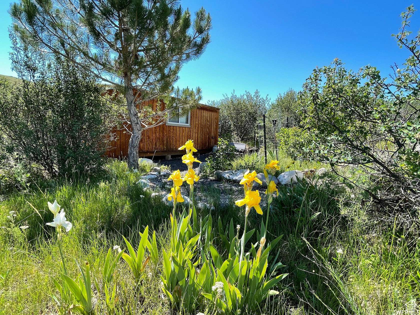 40.3 Acres of Agricultural Land for Sale in St. Charles, Idaho