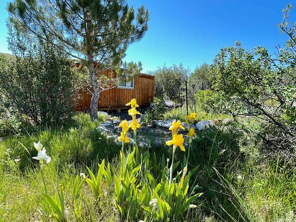 40.3 Acres of Agricultural Land for Sale in St. Charles, Idaho