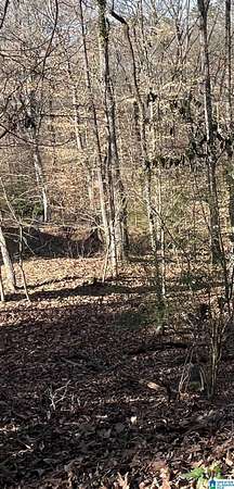 0.69 Acres of Land for Sale in Birmingham, Alabama