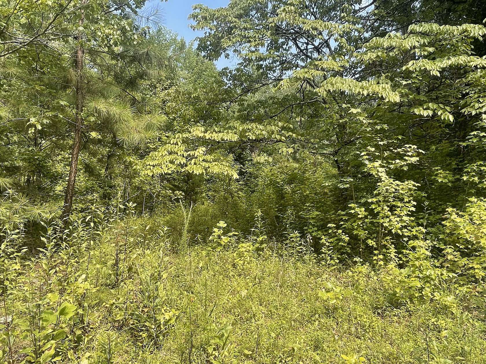 5.4 Acres of Residential Land for Sale in Niota, Tennessee