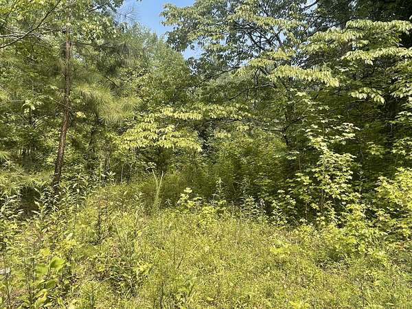 5.4 Acres of Land for Sale in Niota, Tennessee