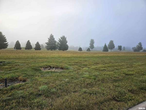 0.41 Acres of Residential Land for Sale in Metamora, Illinois