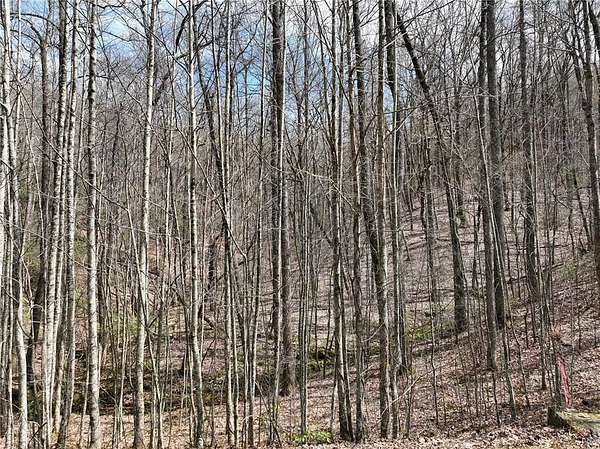 3 Acres of Residential Land for Sale in Ellijay, Georgia