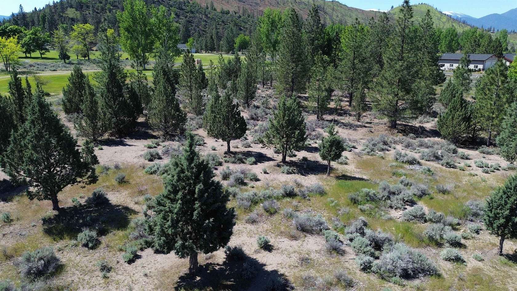 0 25 Acres of Residential Land - Weed Ca 144122771 
