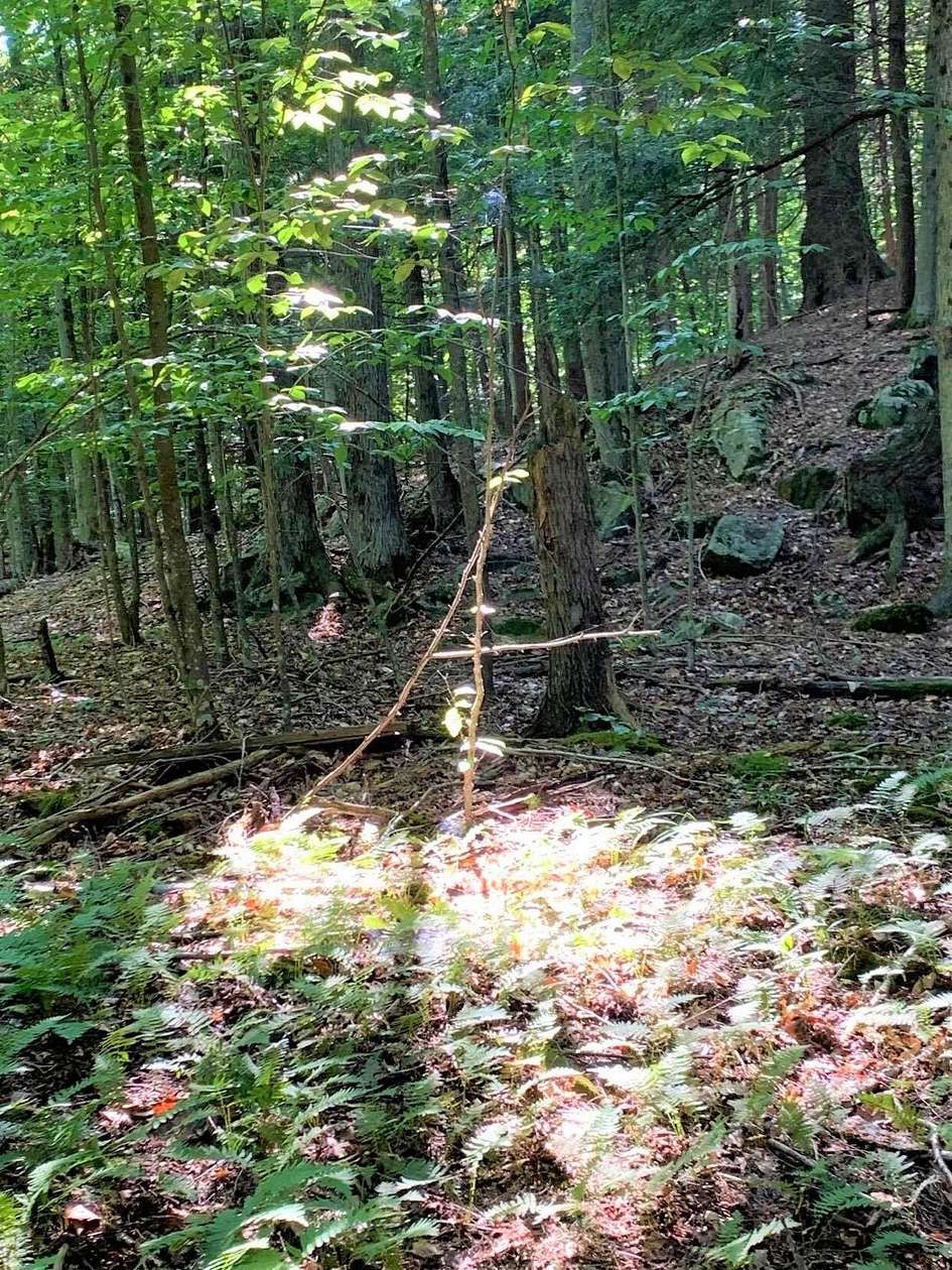 1.6 Acres of Residential Land for Sale in Saranac Lake, New York