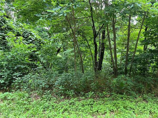 1.36 Acres of Residential Land for Sale in Holiday Island, Arkansas