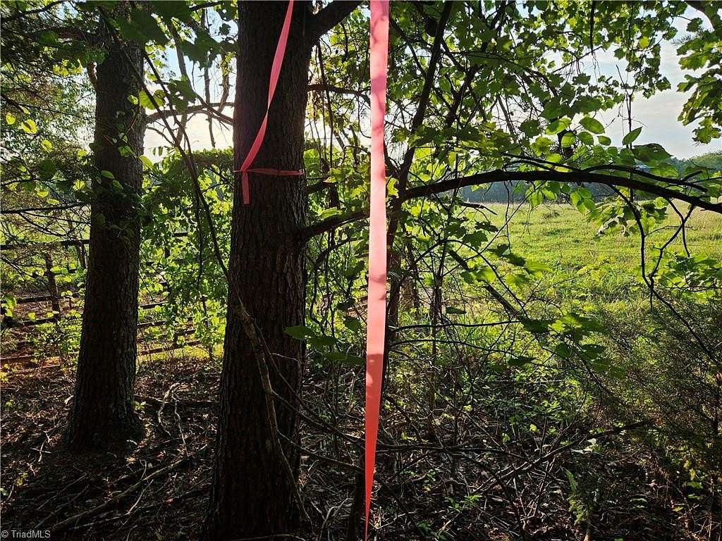 7.22 Acres of Residential Land for Sale in Pilot Mountain, North Carolina