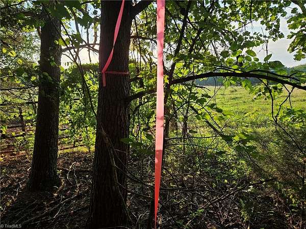 7.22 Acres of Residential Land for Sale in Pilot Mountain, North Carolina