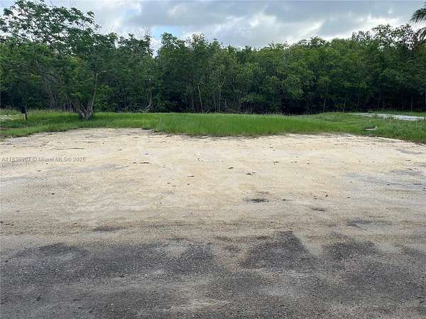 0.14 Acres of Residential Land for Sale in Everglades City, Florida