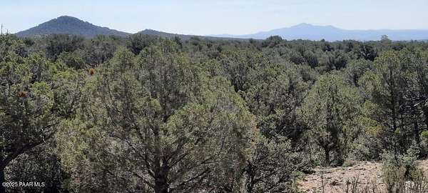 19.8 Acres of Recreational Land for Sale in Williams, Arizona