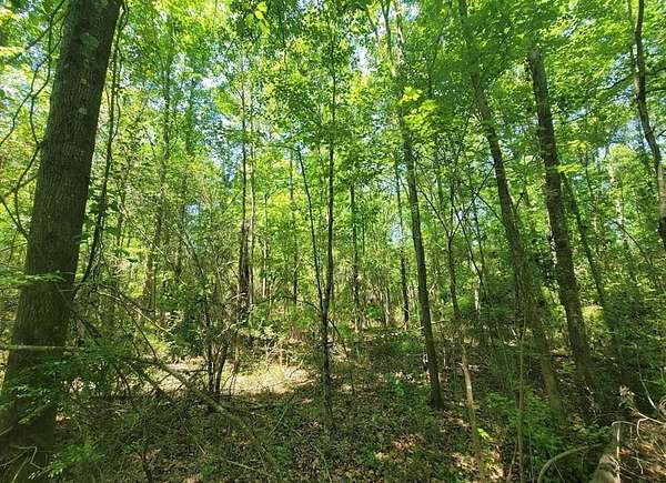 9 Acres of Residential Land for Sale in Geneva, Alabama
