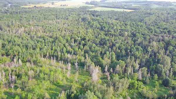 49 Acres of Recreational Land for Sale in Presque Isle, Maine