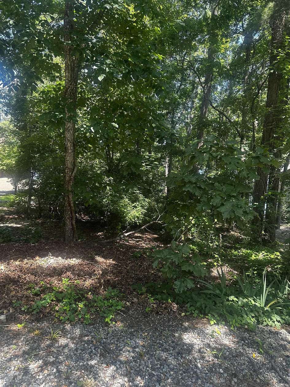 0.33 Acres of Residential Land for Sale in Hot Springs Village, Arkansas