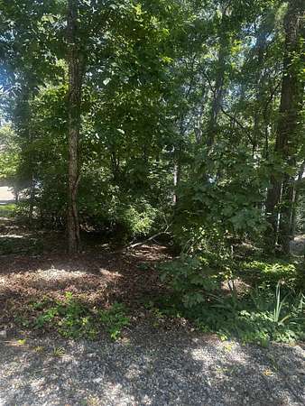 0.33 Acres of Residential Land for Sale in Hot Springs Village, Arkansas