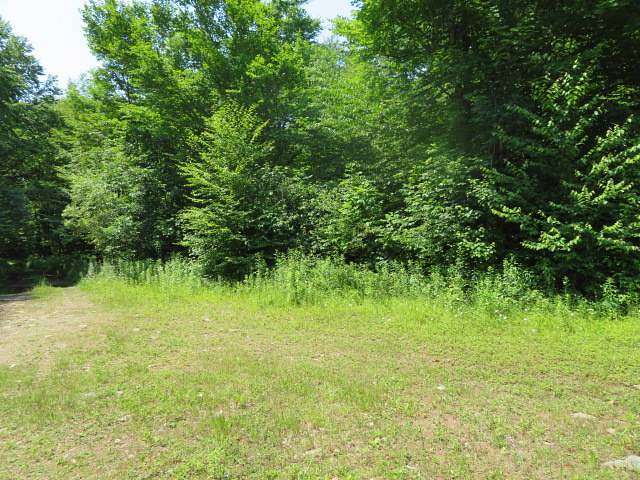 29.2 Acres of Recreational Land for Sale in Orwell, New York