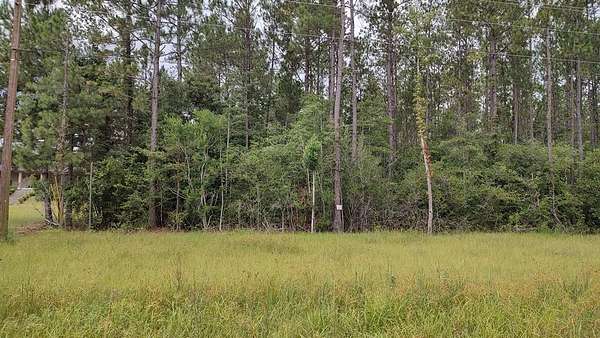 3.44 Acres of Residential Land for Sale in Picayune, Mississippi