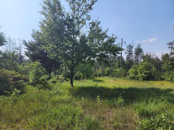 3 Acres of Land for Auction in Mio, Michigan