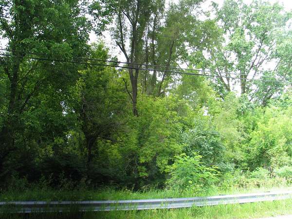 0.23 Acres of Land for Sale in Brooklyn, Michigan