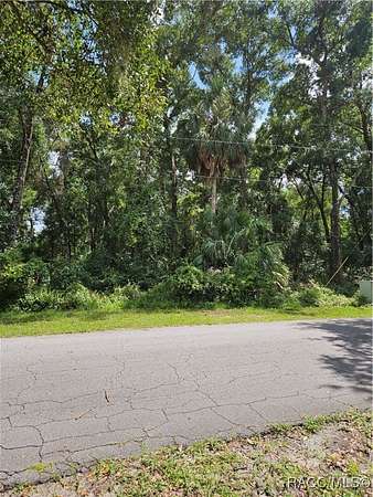 0.48 Acres of Residential Land for Sale in Inverness, Florida