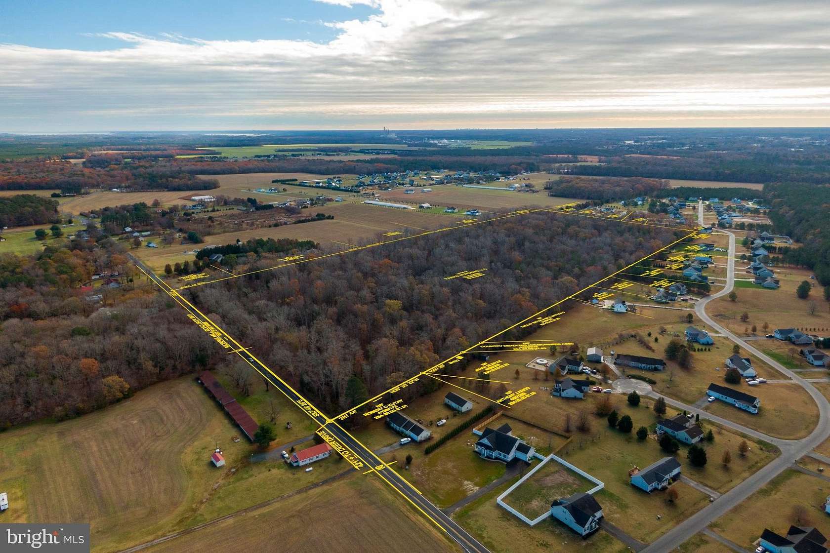 48 Acres of Recreational & Residential Land for Sale in Millsboro, Delaware