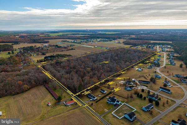 48 Acres of Recreational & Residential Land for Sale in Millsboro, Delaware