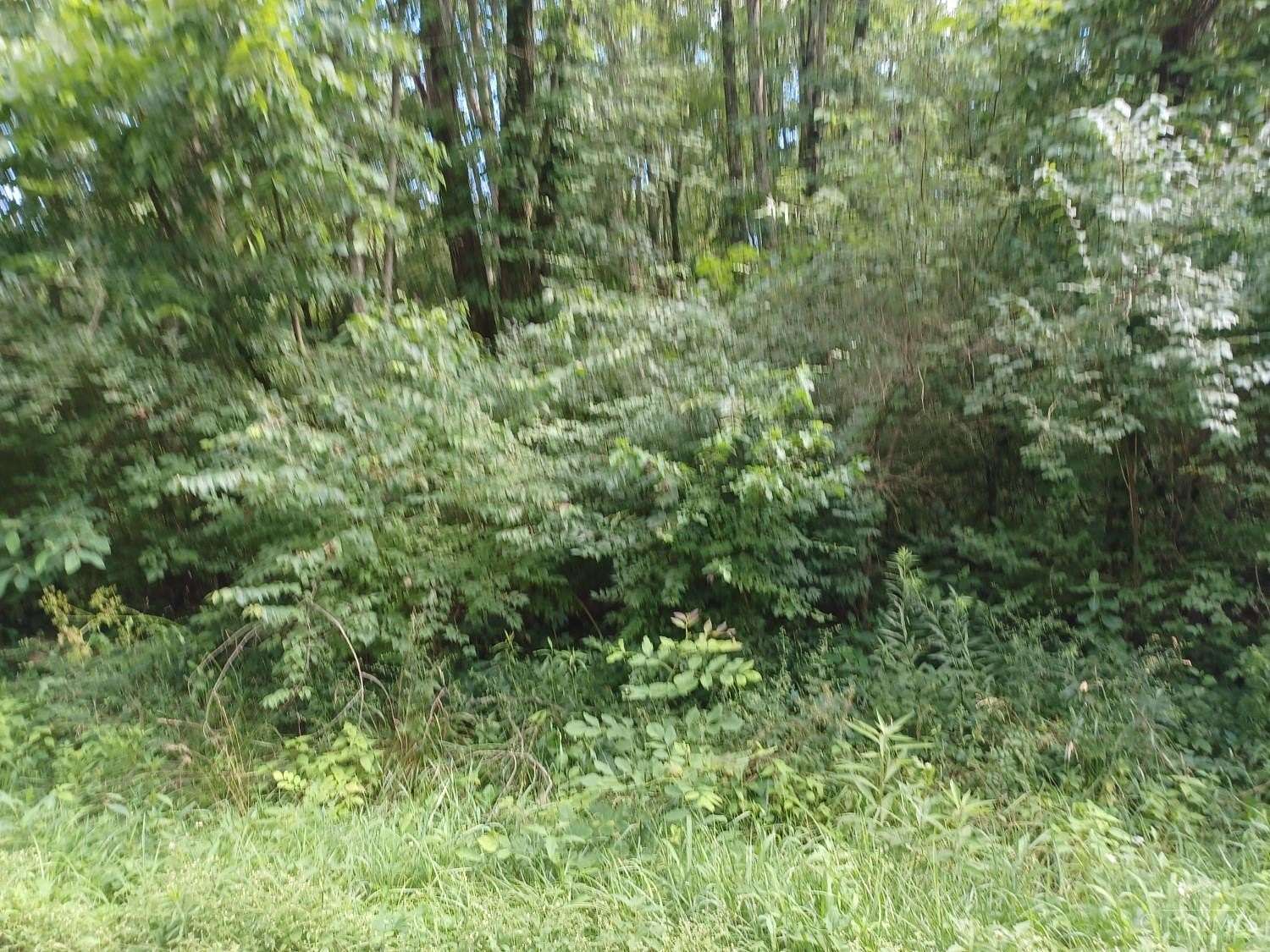 0.68 Acres of Land for Sale in Wayne Township, Ohio