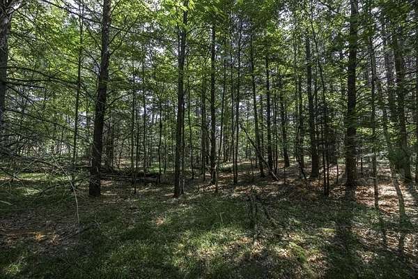 0.98 Acres of Residential Land for Sale in Woodruff, Wisconsin