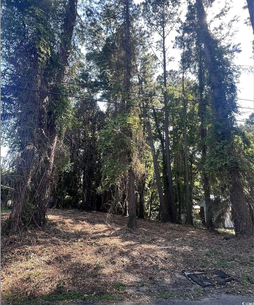 0.18 Acres of Residential Land for Sale in Conway, South Carolina