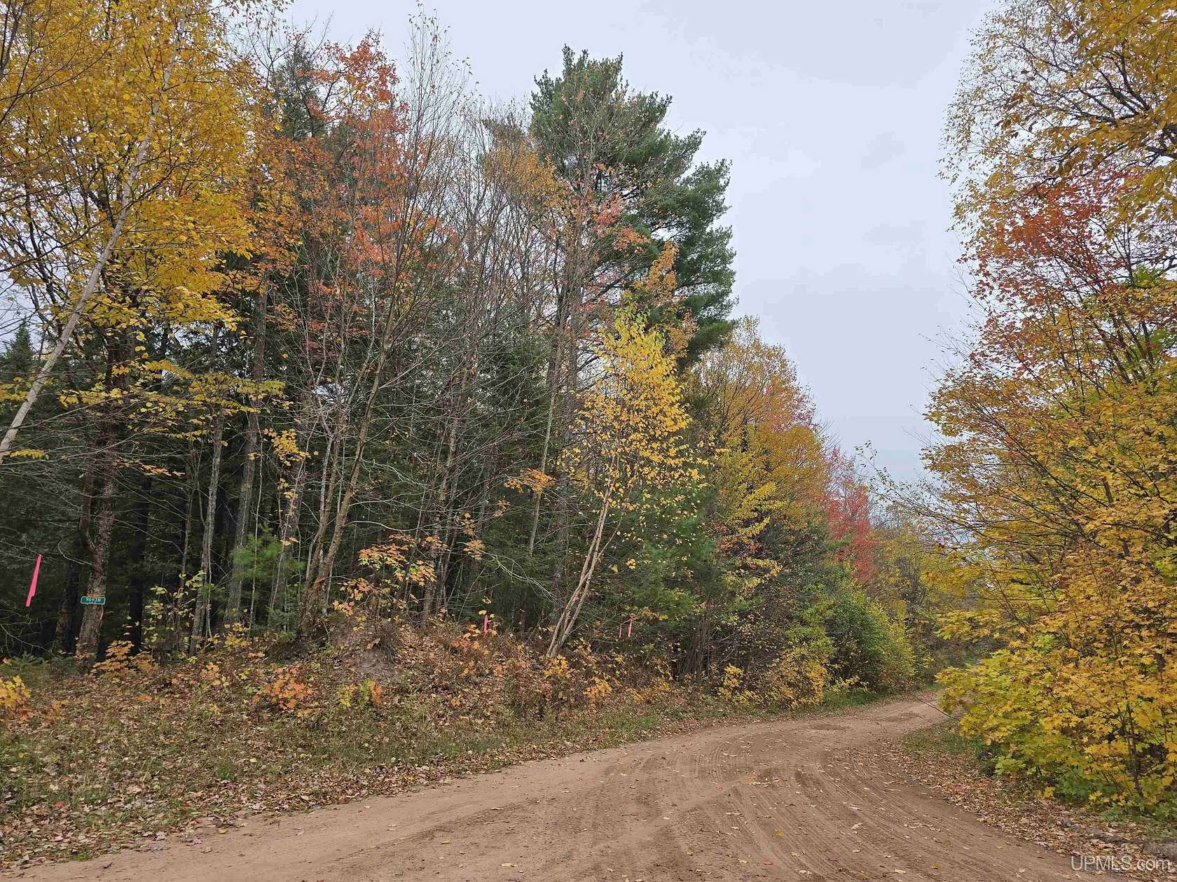 10.2 Acres of Recreational Land for Sale in Nisula, Michigan