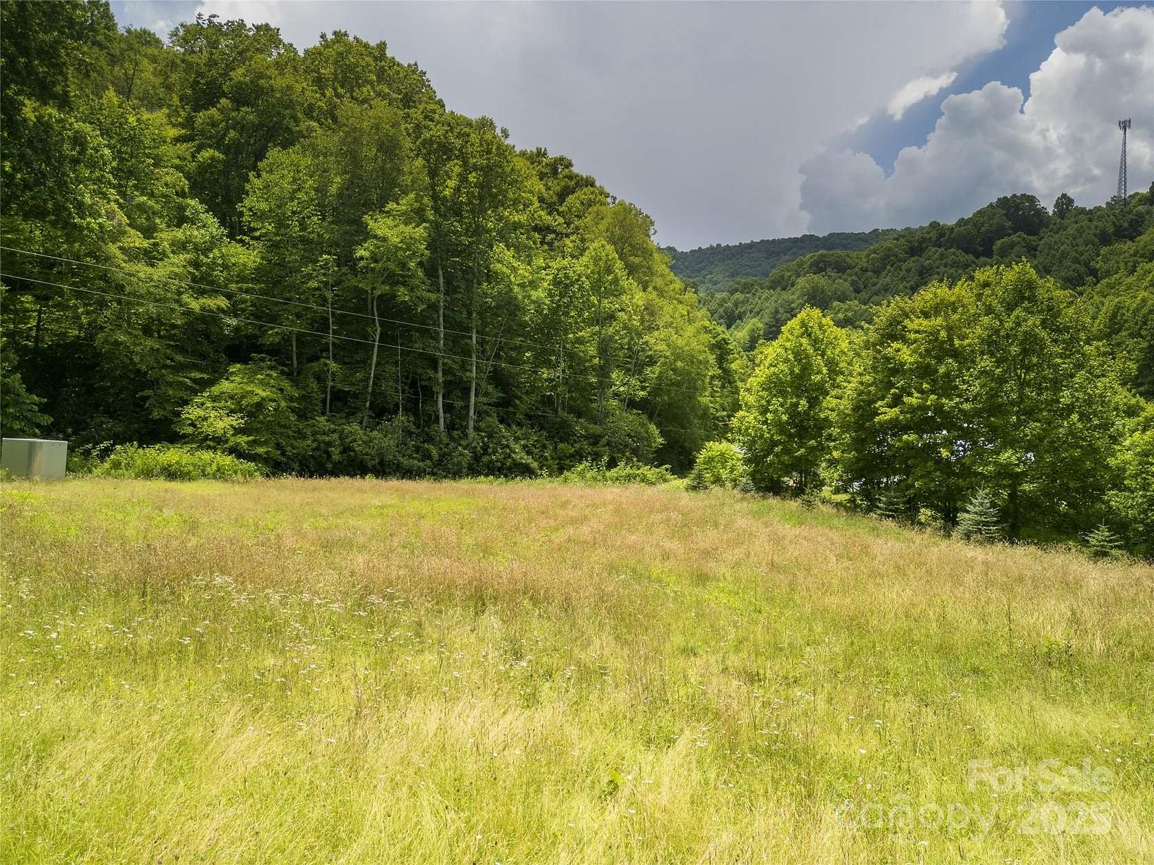 101 Acres of Land for Sale in Mars Hill, North Carolina