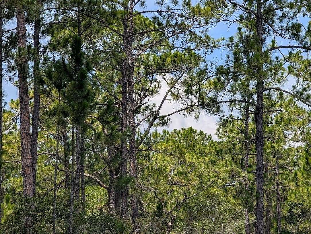 1 Acre of Residential Land for Sale in Indian Lake Estates, Florida
