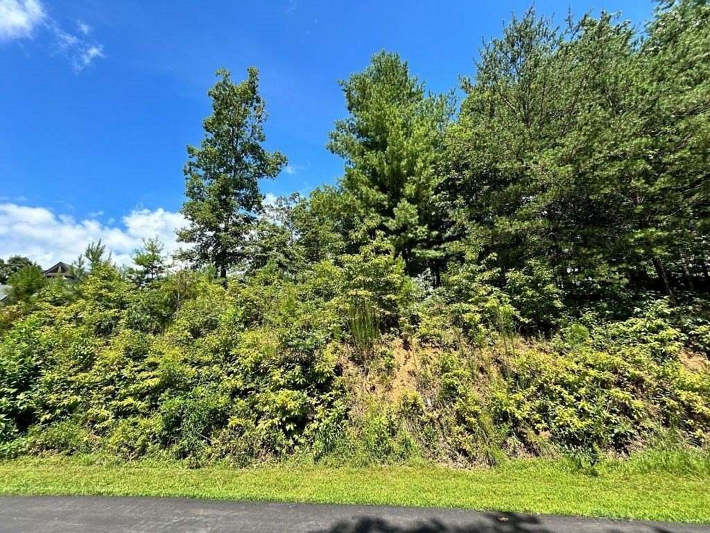 0.49 Acres of Residential Land for Sale in Mineral Bluff, Georgia