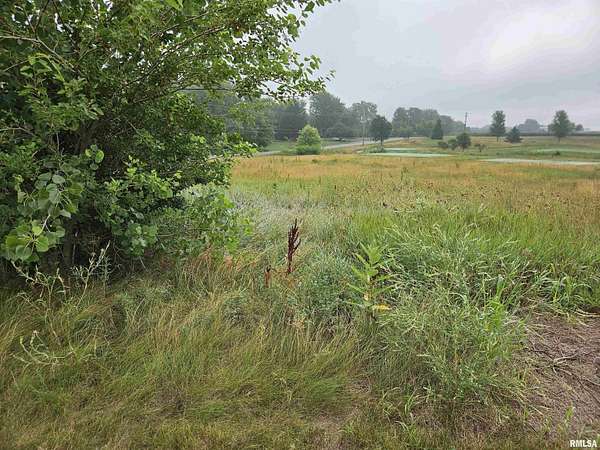 0.37 Acres of Residential Land for Sale in Metamora, Illinois