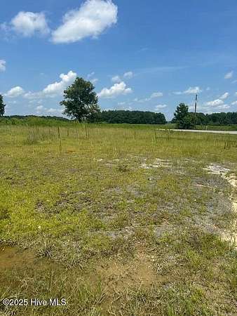 1 Acre of Residential Land for Sale in Clarendon, North Carolina