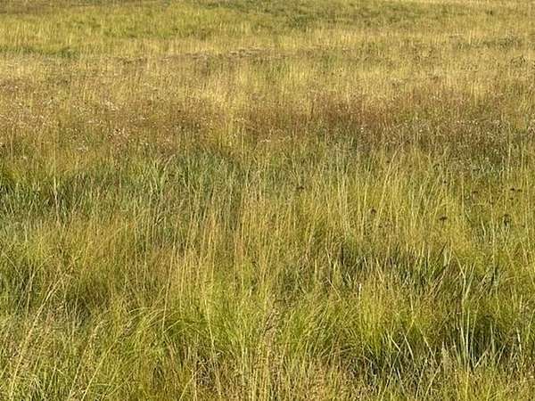 60.5 Acres of Agricultural Land for Sale in Mooreland, Oklahoma