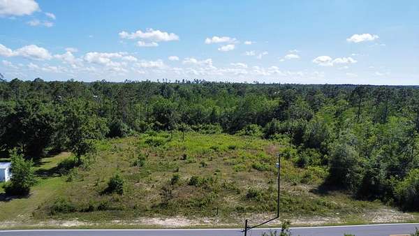3 Acres of Residential Land for Sale in Wewahitchka, Florida